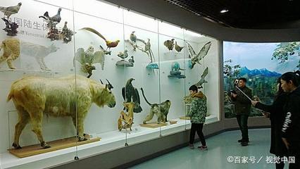 最強參觀攻略 帶萌娃探索北京自然博物館前，先了解這些自然科學知識
